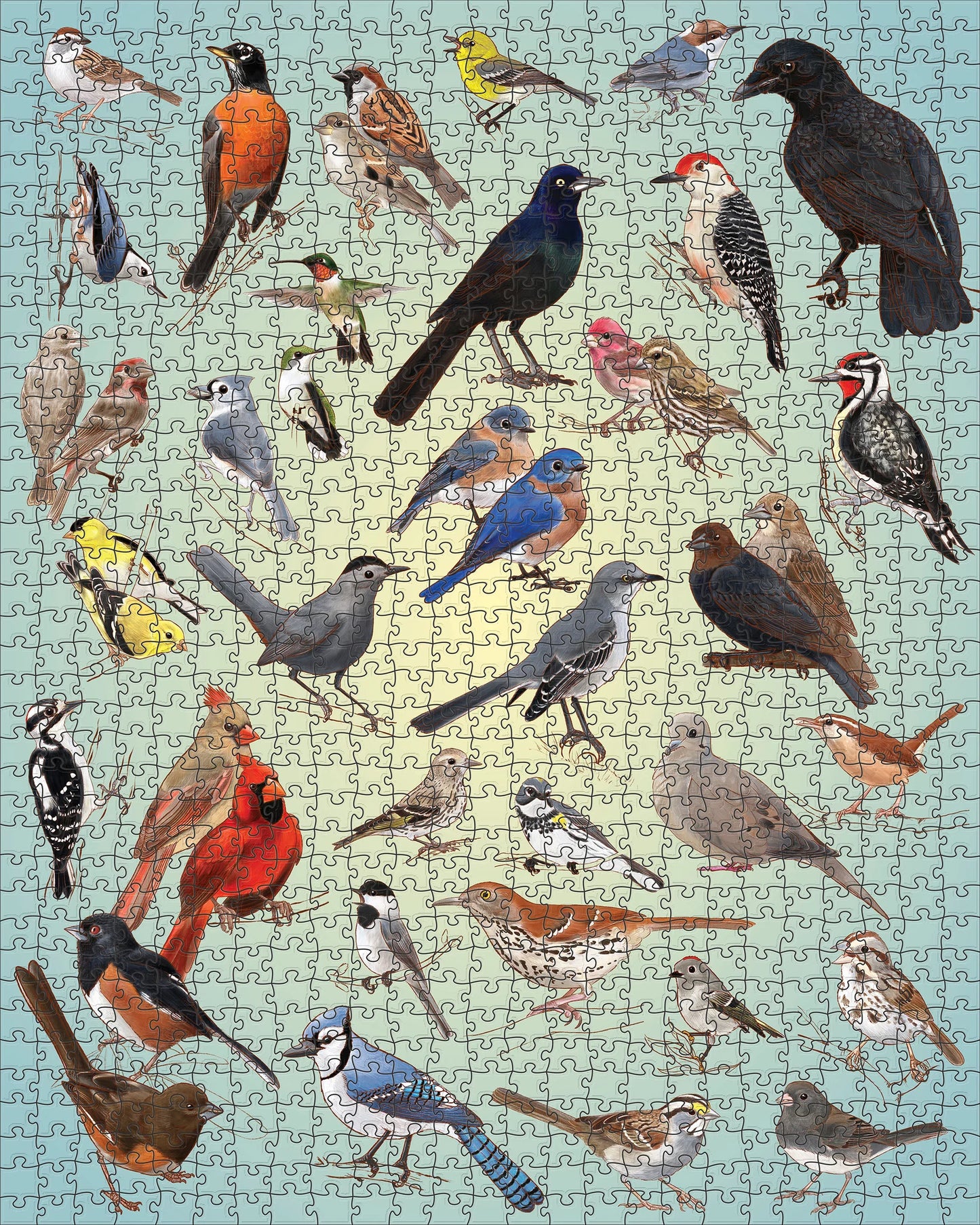 Backyard Birds 1000 Piece Jigsaw Puzzle Pomegranate