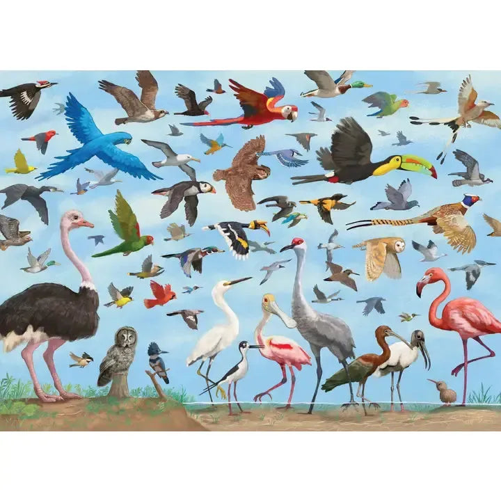 All the Birds 1000 Piece Jigsaw Puzzle Peter Pauper