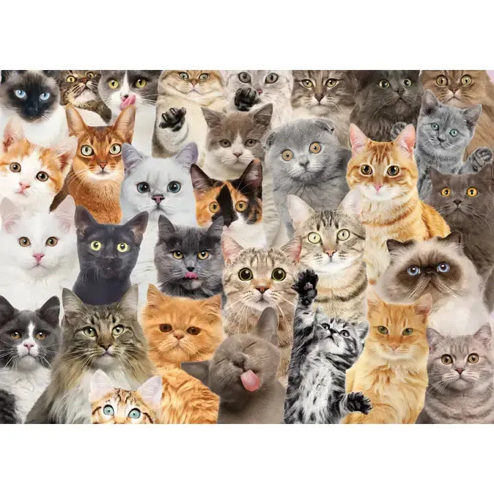 All the Cats 1000 Piece Jigsaw Puzzle Peter Pauper