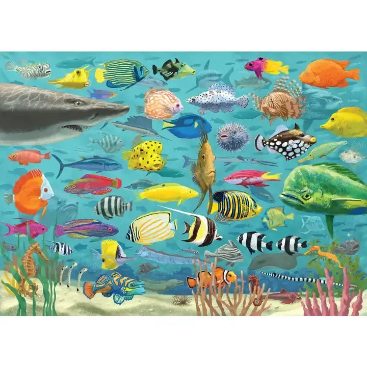 All the Fish 1000 Piece Jigsaw Puzzle Peter Pauper