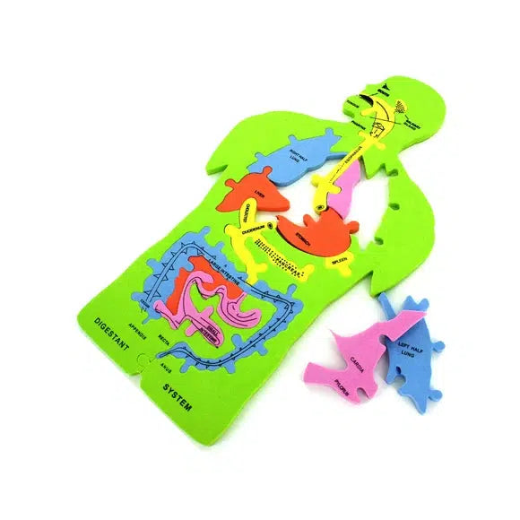 Anatomy 11 Piece Foam Puzzle