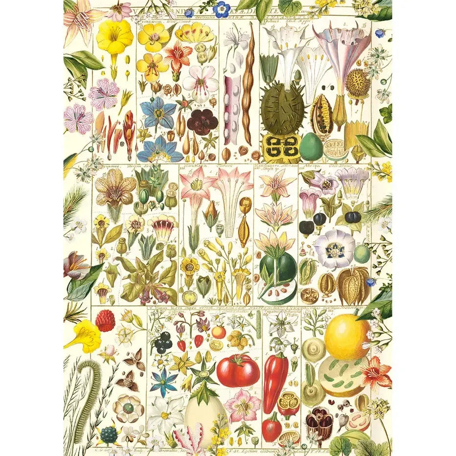 Botanical Bliss 1000 Piece Jigsaw Puzzle Gibsons