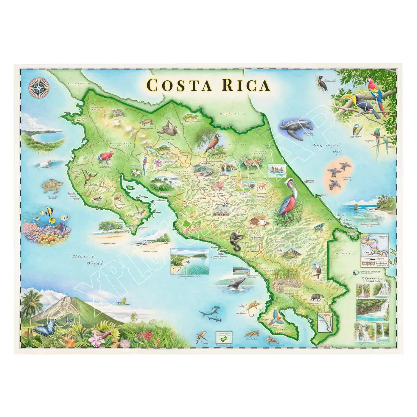 Costa Rica 1000 Piece Jigsaw Puzzle Xplorer Maps