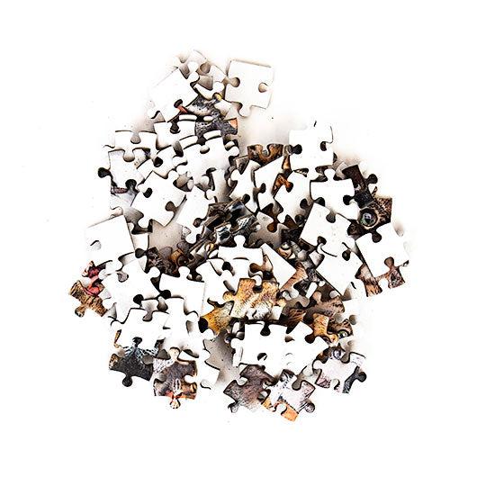 Crazy Cats 100 Piece Pocket Jigsaw Puzzle Gift Republic