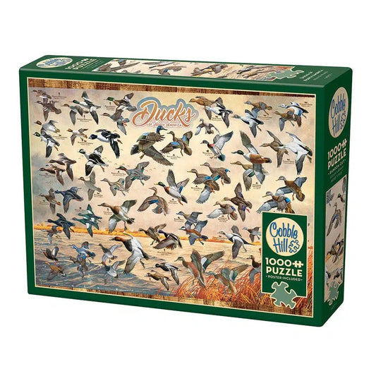 Ducks of North America 1000 Piece Jigsaw Puzzle Cobble Hill