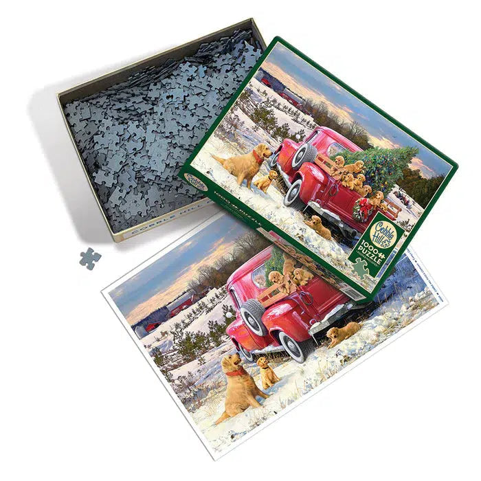 Family Outing 1000 Piece Jigsaw Puzzle Cobble Hill