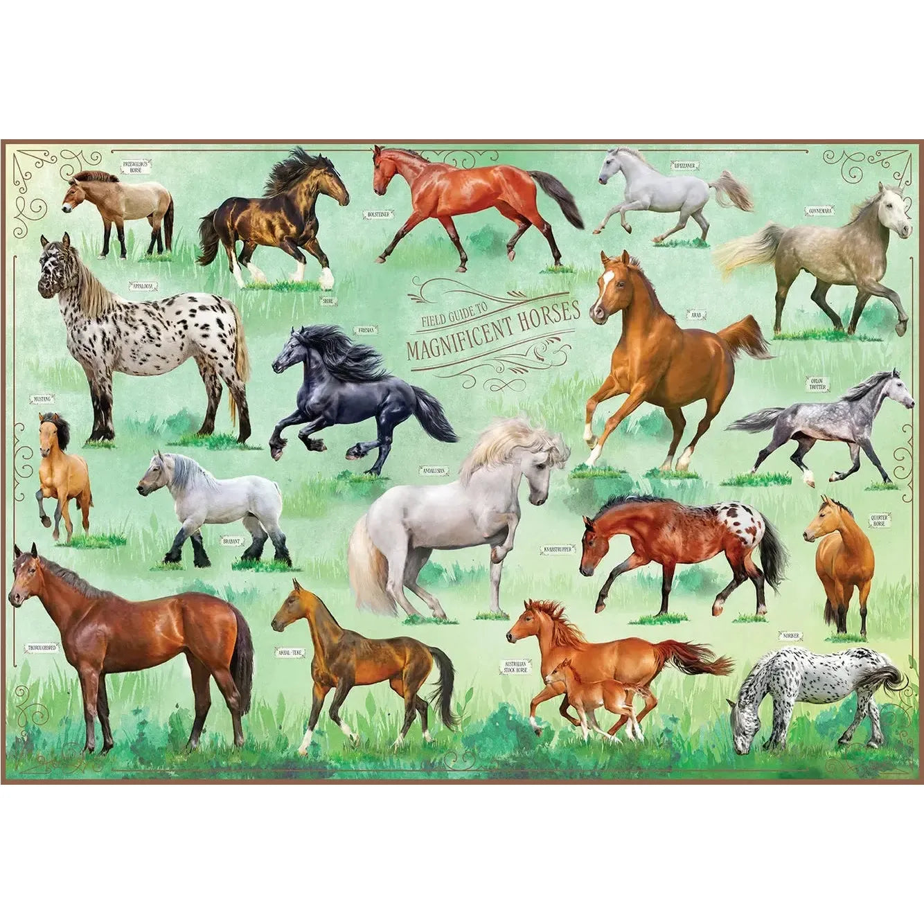 Field Guide To Magnificent Horses 500 Piece Jigsaw Puzzle Insights