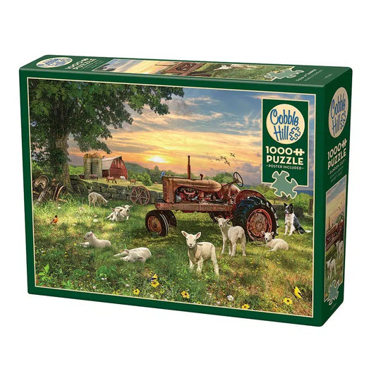 Field at Sunrise 1000 Piece Jigsaw Puzzle Cobble Hill