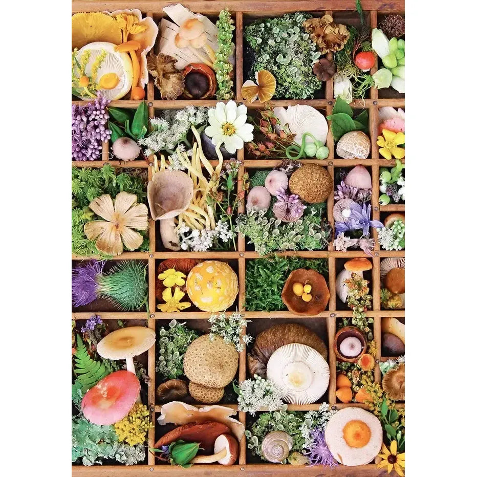 Flowers & Fungi 500 Piece Jigsaw Puzzle Insights