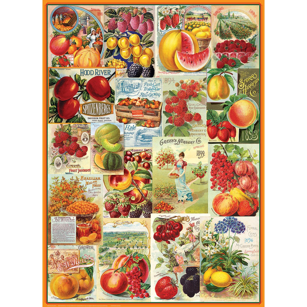 Fruits, Seed Catalog Collection 1000 Piece Jigsaw Puzzle Eurographics