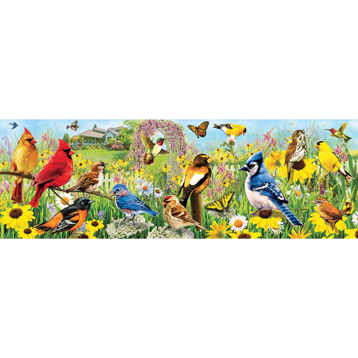 Garden Birds 1000 Piece Panoramic Jigsaw Puzzle Eurographics