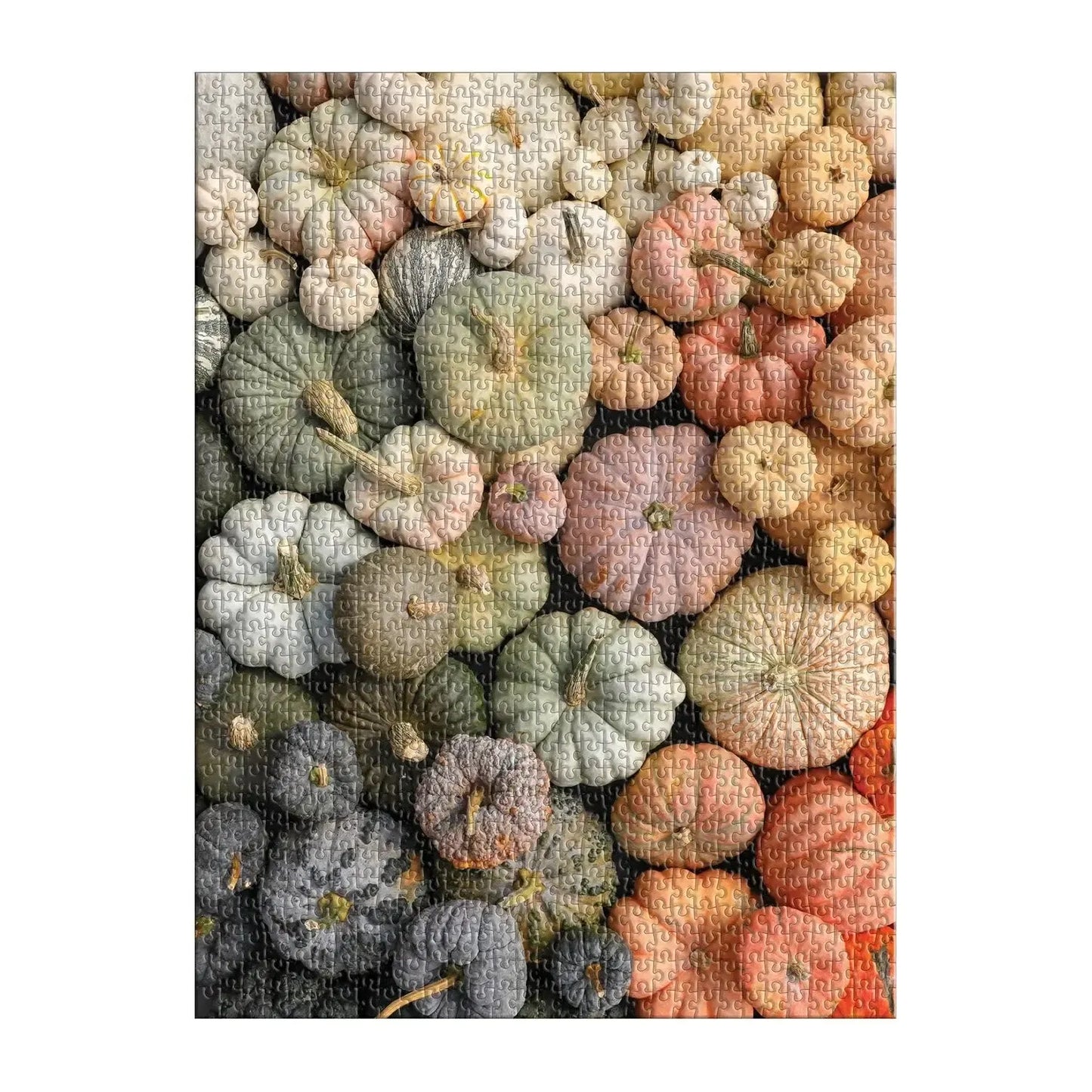 Heirloom Pumpkins 1000 Piece Jigsaw Puzzle Galison