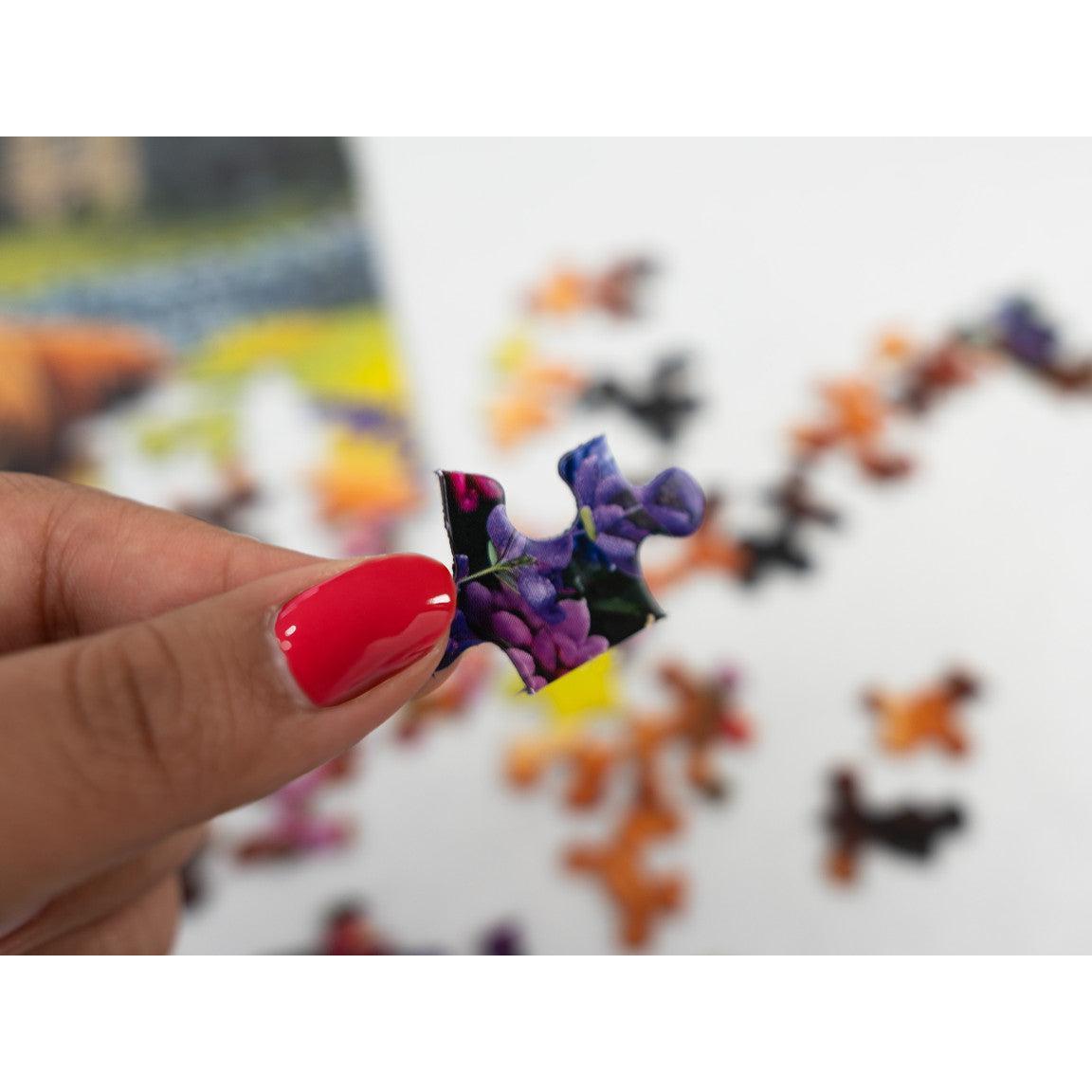 Highland Cows 500 Piece Jigsaw Puzzle Springbok