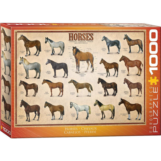 Horses 1000 Piece Jigsaw Puzzle Eurographics