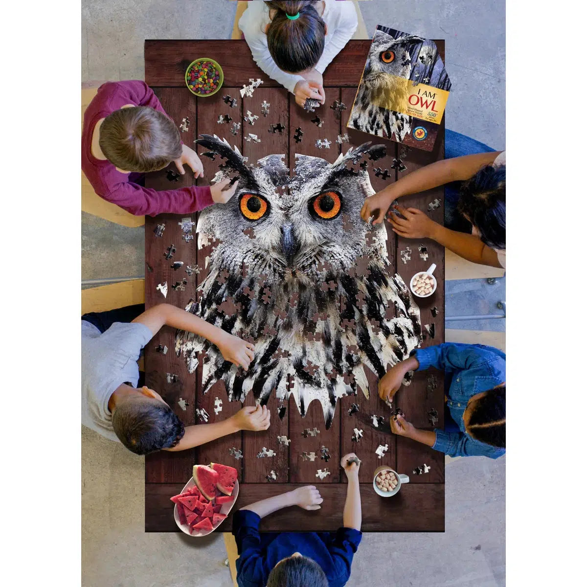 I Am Owl 550 Piece Head Shaped Jigsaw Puzzle Madd Capp