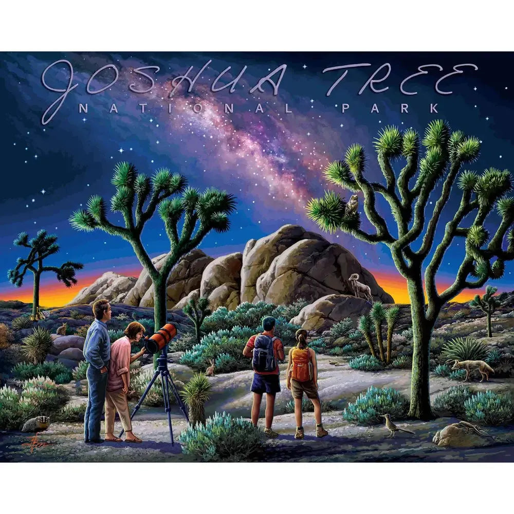 Joshua Tree National Park 210 Piece Jigsaw Puzzle Boardwalk