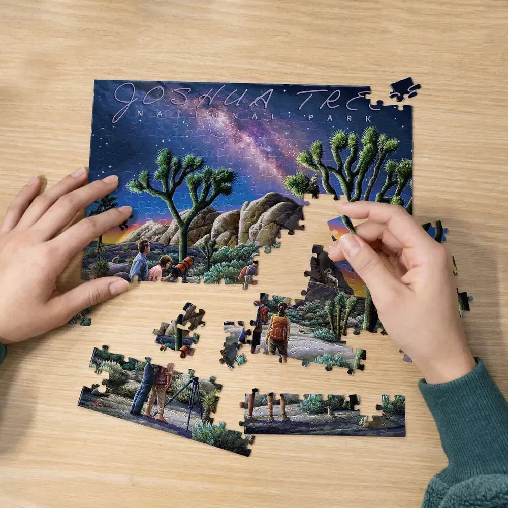 Joshua Tree National Park 210 Piece Jigsaw Puzzle Boardwalk