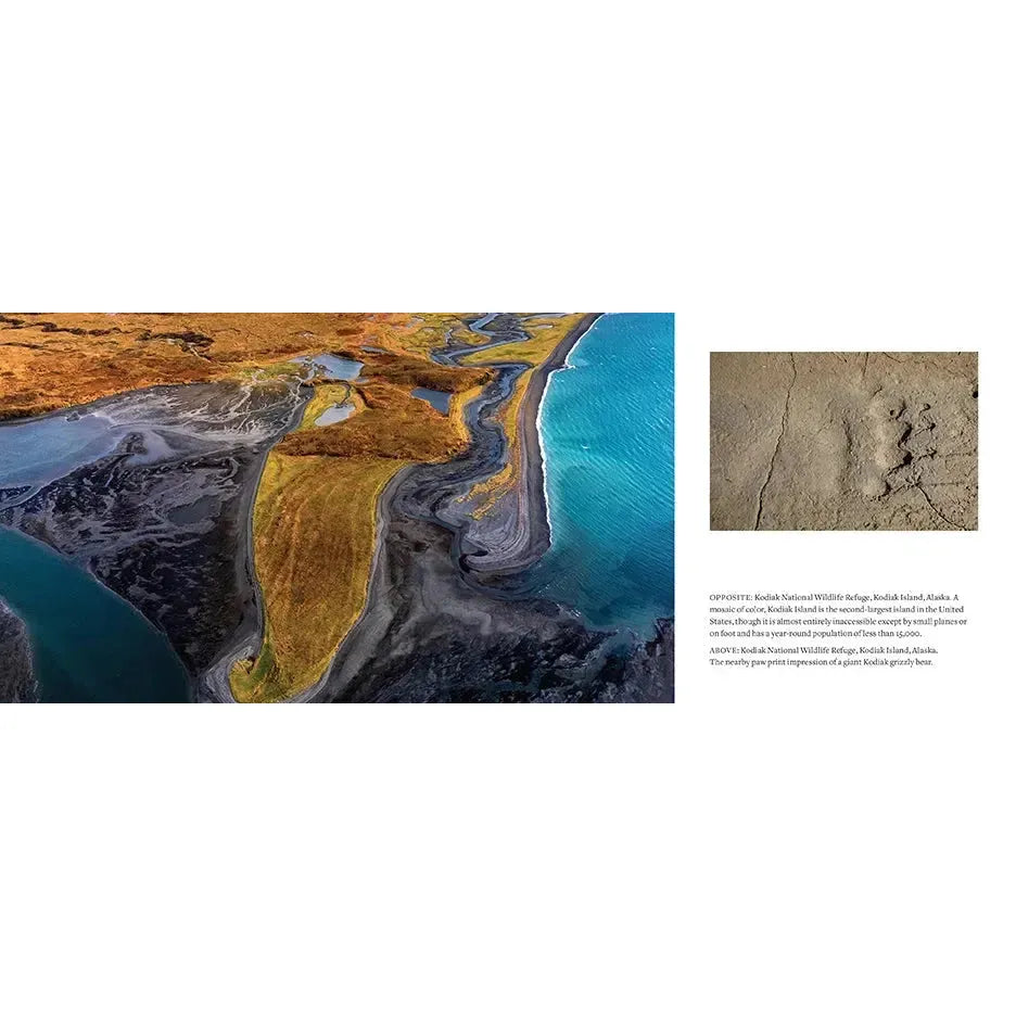 Kodiak Refuge 1000 Piece Jigsaw Puzzle Insights