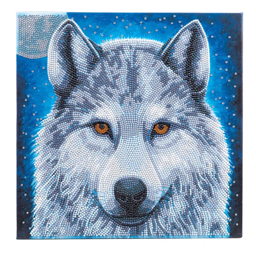 Midnight Wolf Crystal Art Framed Canvas Kit Craft Buddy