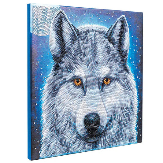 Midnight Wolf Crystal Art Framed Canvas Kit Craft Buddy