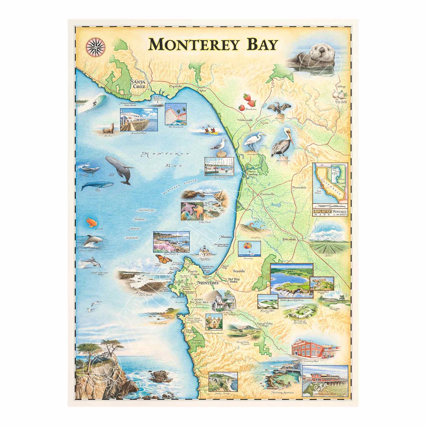 Monterey Bay 1000 Piece Jigsaw Puzzle Xplorer Maps