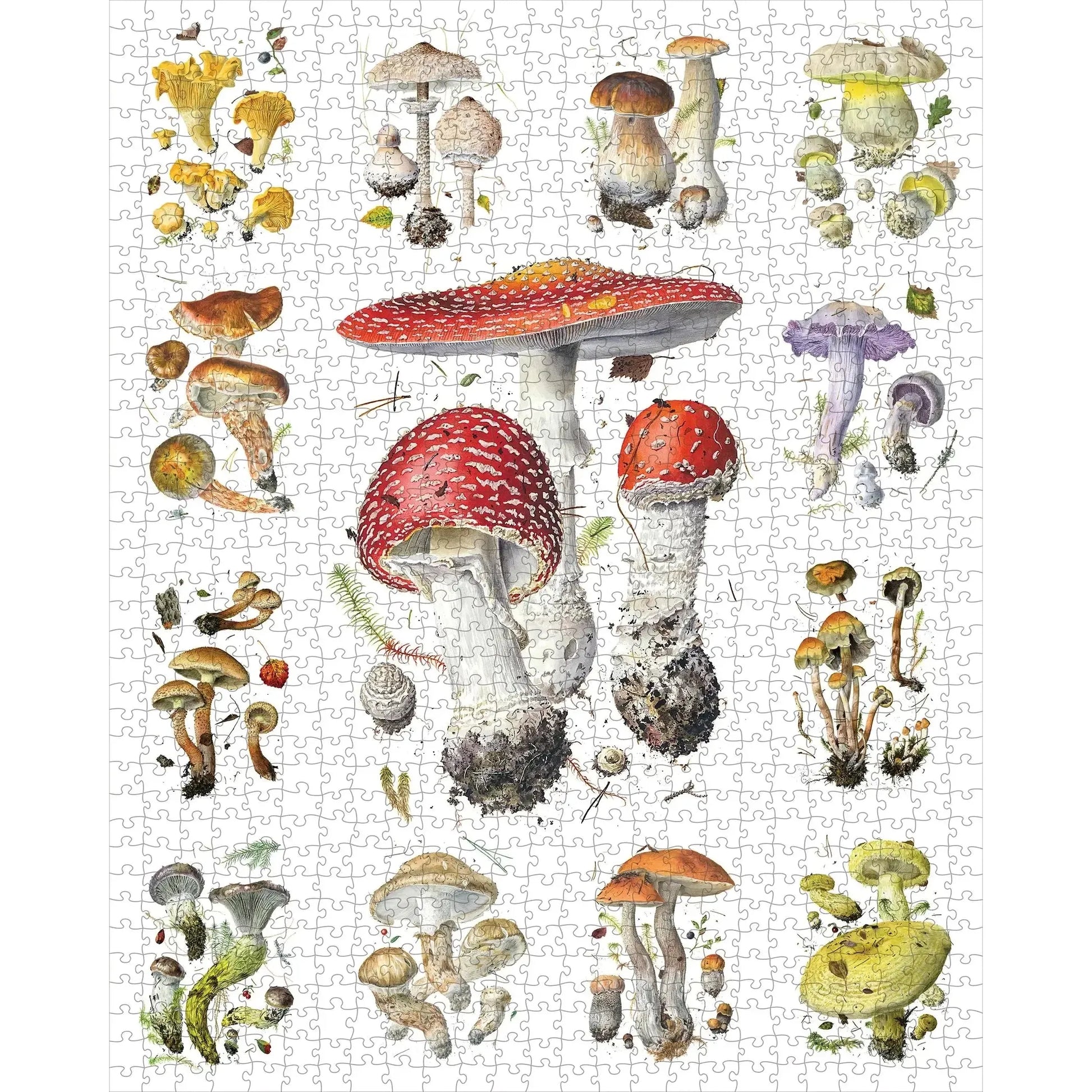 Mushrooms 1000 Piece Jigsaw Puzzle Pomegranate