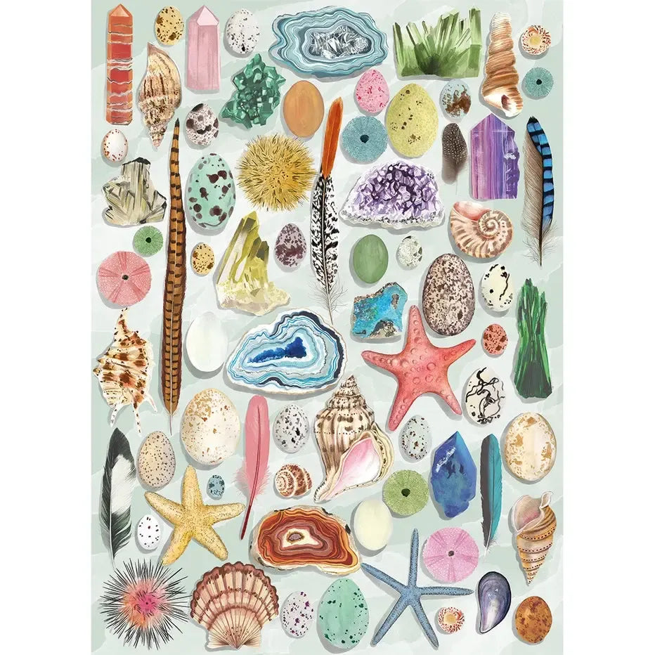 Natural Curiosities 1000 Piece Jigsaw Puzzle Gibsons