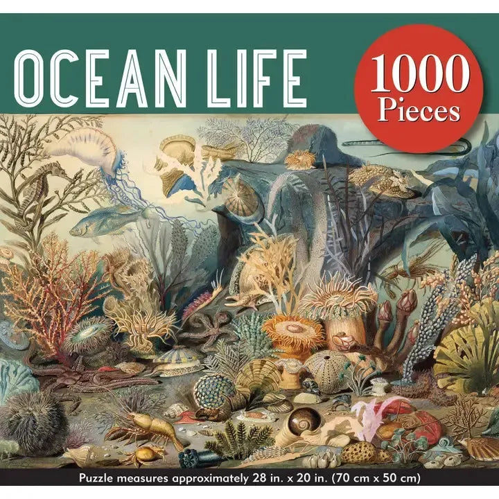 Ocean Life 1000 Piece Jigsaw Puzzle Peter Pauper