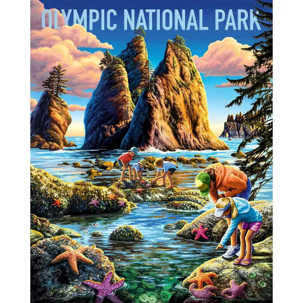 Olympic National Park 210 Piece Jigsaw Puzzle Boardwalk