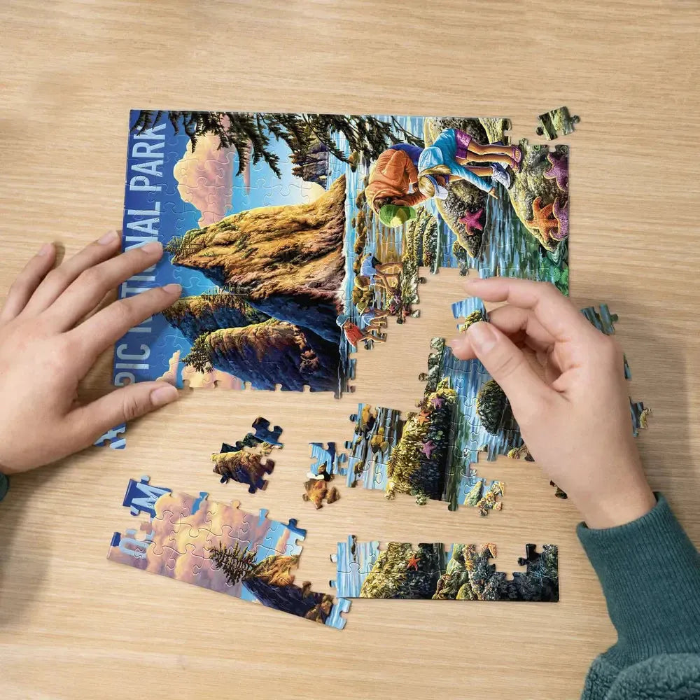 Olympic National Park 210 Piece Jigsaw Puzzle Boardwalk