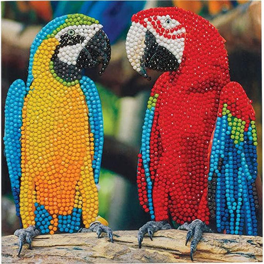 Parrot Friends Crystal Art Card Kit Craft Buddy