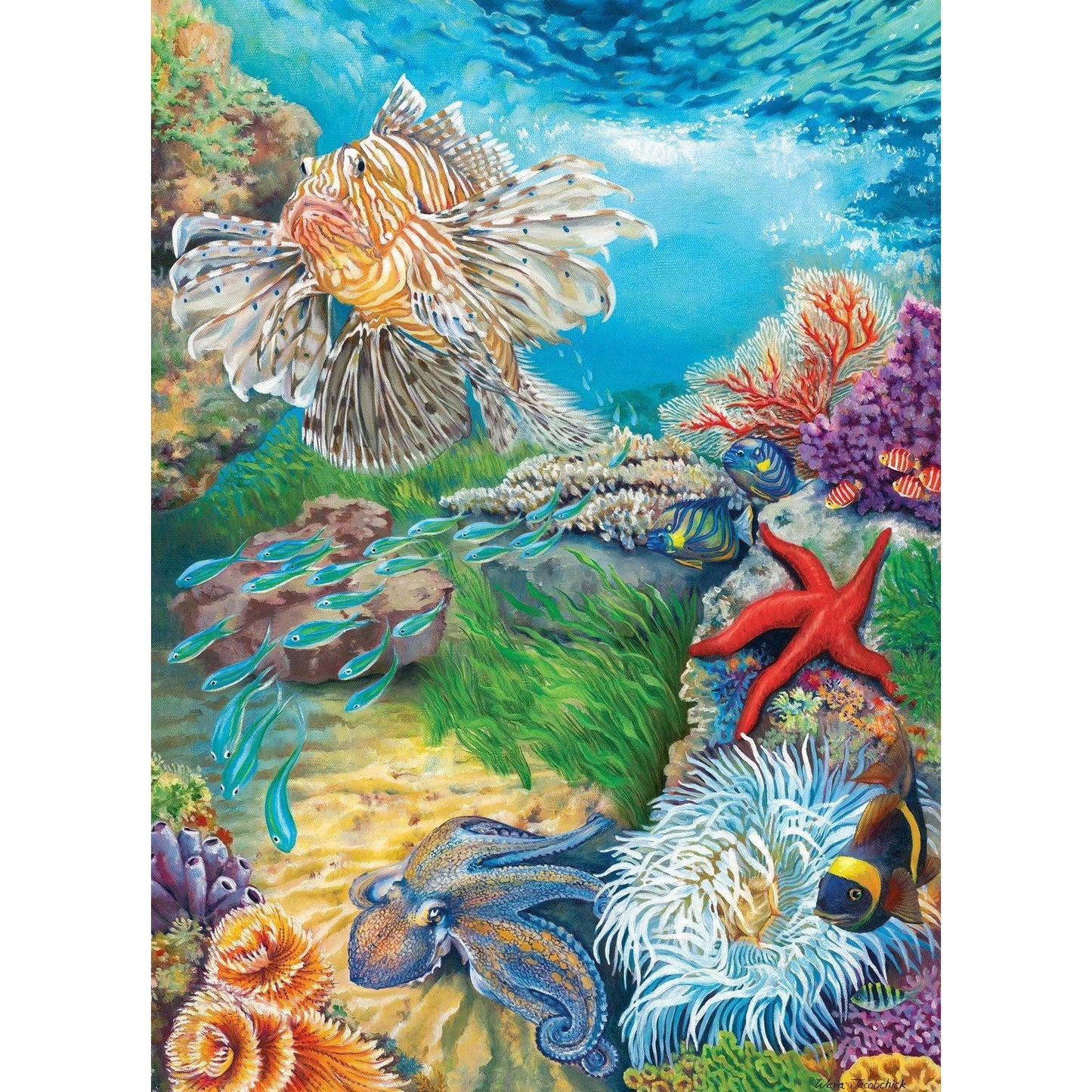 Reef Life 1000 Piece Jigsaw Puzzle Cobble Hill