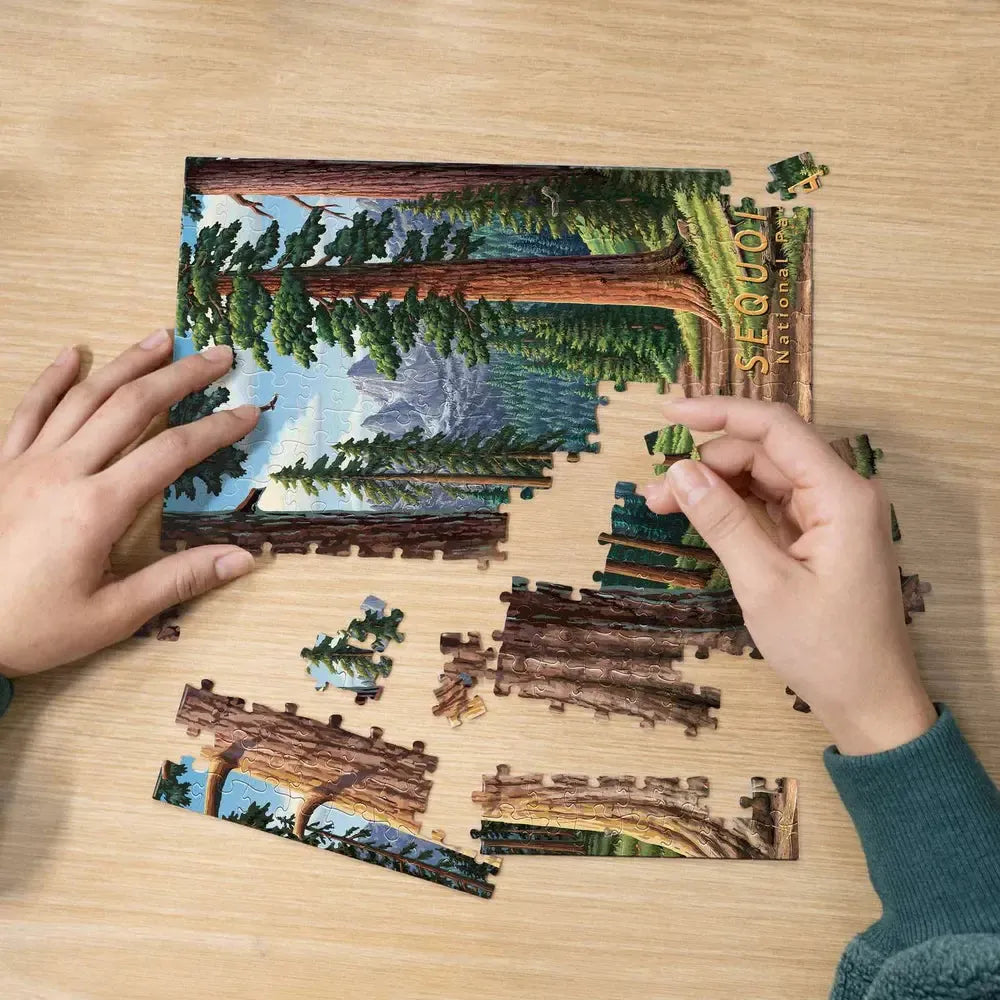 Sequoia National Park 210 Piece Jigsaw Puzzle Boardwalk