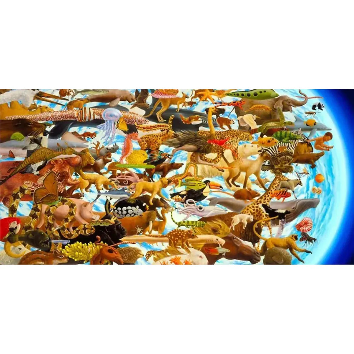 Space Race 2000 Piece Panoramic Jigsaw Puzzle Pomegranate
