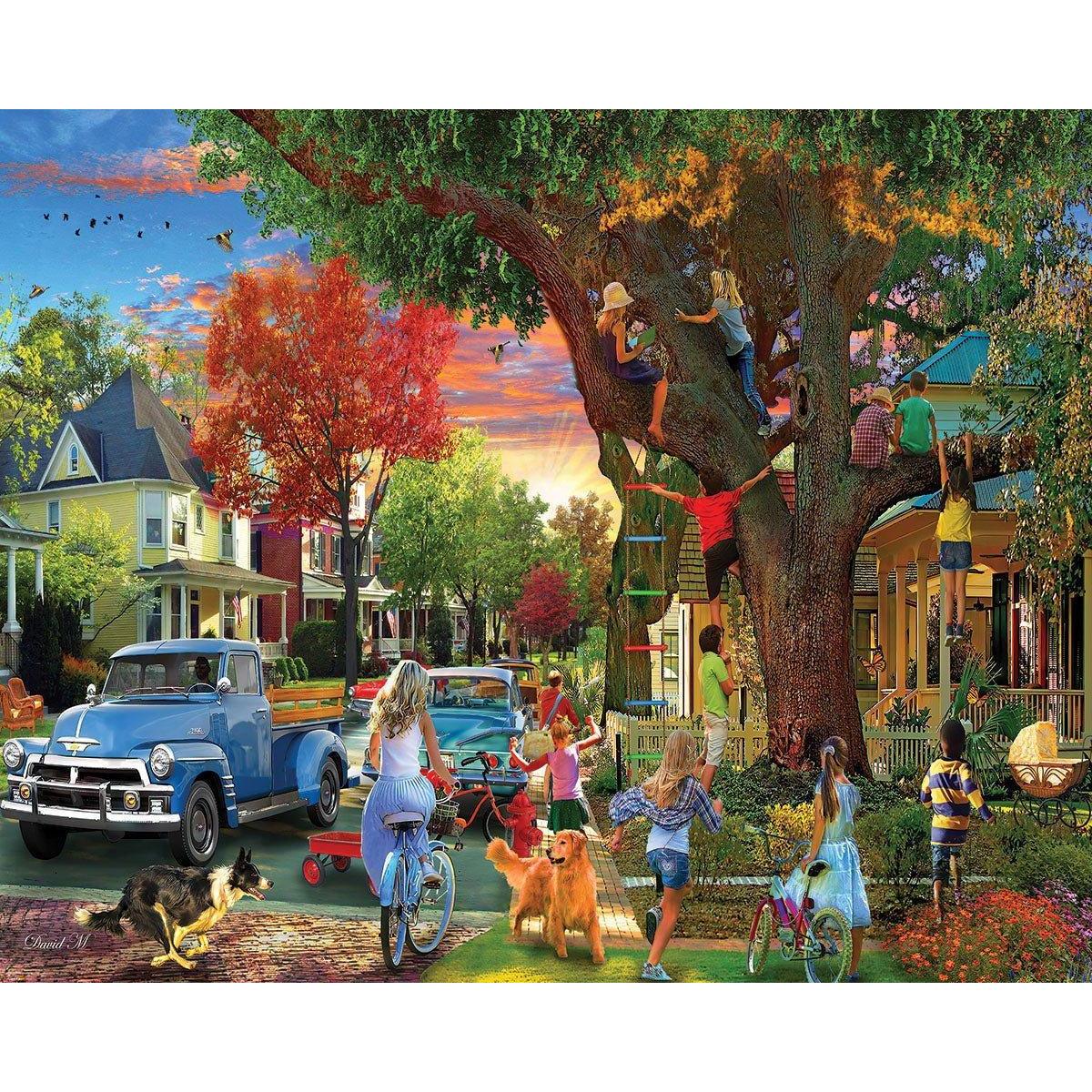 The Neighborhood 1000 Piece Jigsaw Puzzle White Mountain