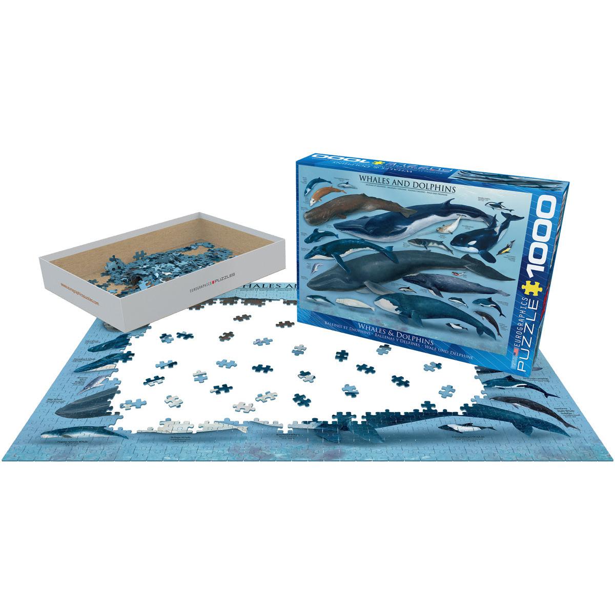 Whales & Dolphins 1000 Piece Jigsaw Puzzle Eurographics