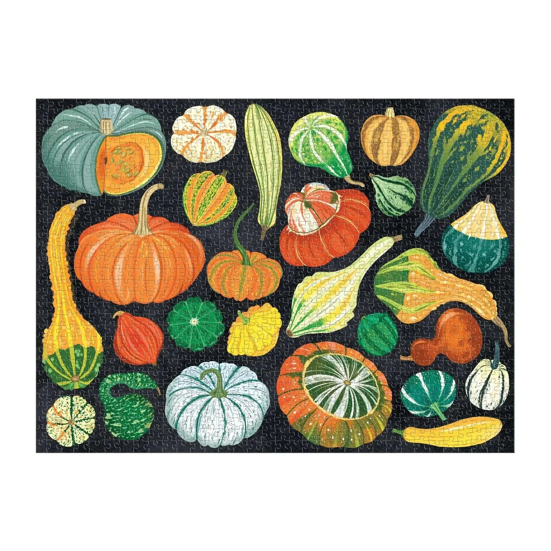 World of Pumpkins 1000 Piece Jigsaw Puzzle Galison