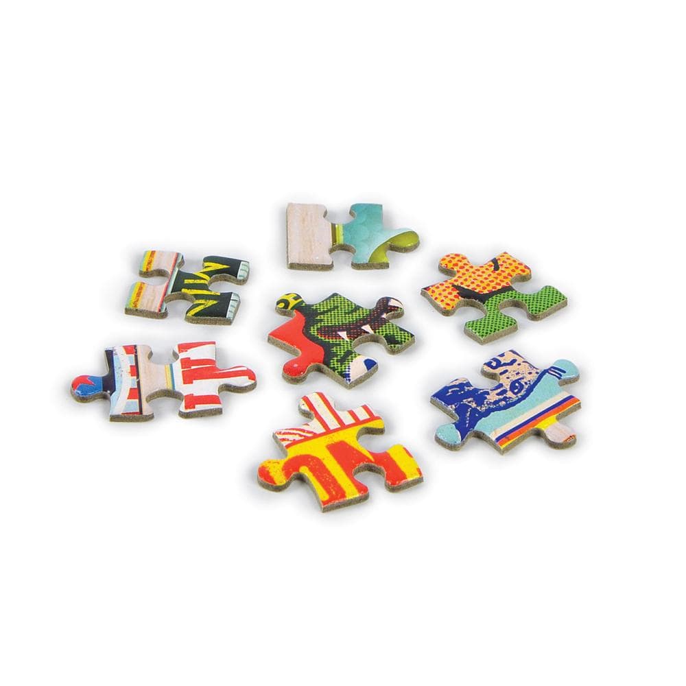 XYZ Blocks 1000 Piece Jigsaw Puzzle Fred