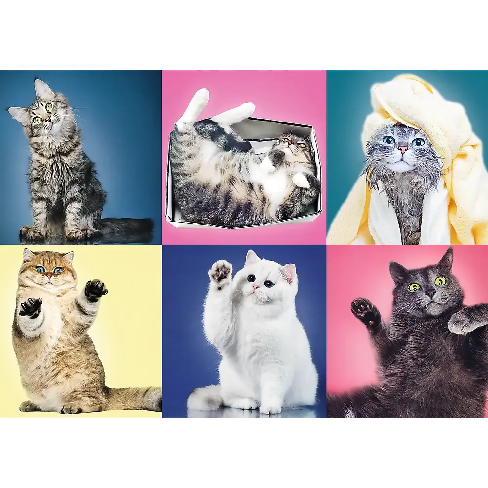 Kittens Collage 500 Piece Jigsaw Puzzle Trefl
