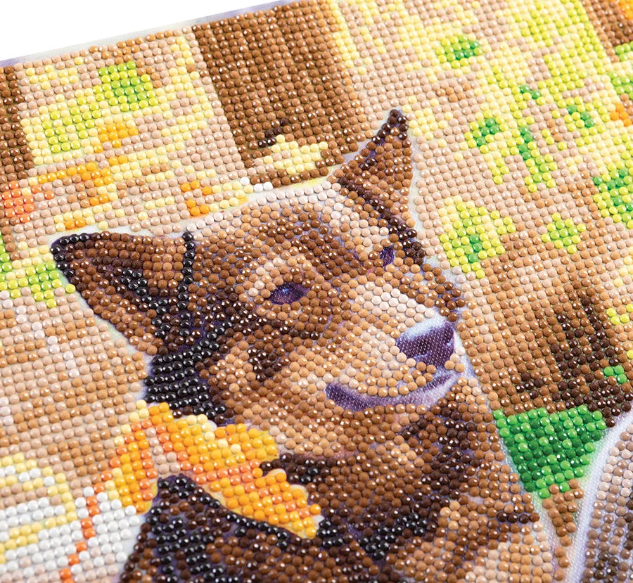 Cat & Dog in the Woods Crystal Art Framed Canvas Kit Craft Buddy