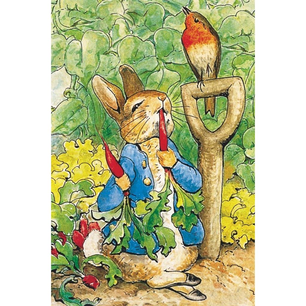 Peter Rabbit 20 Piece Mini Jigsaw Puzzle NYPC