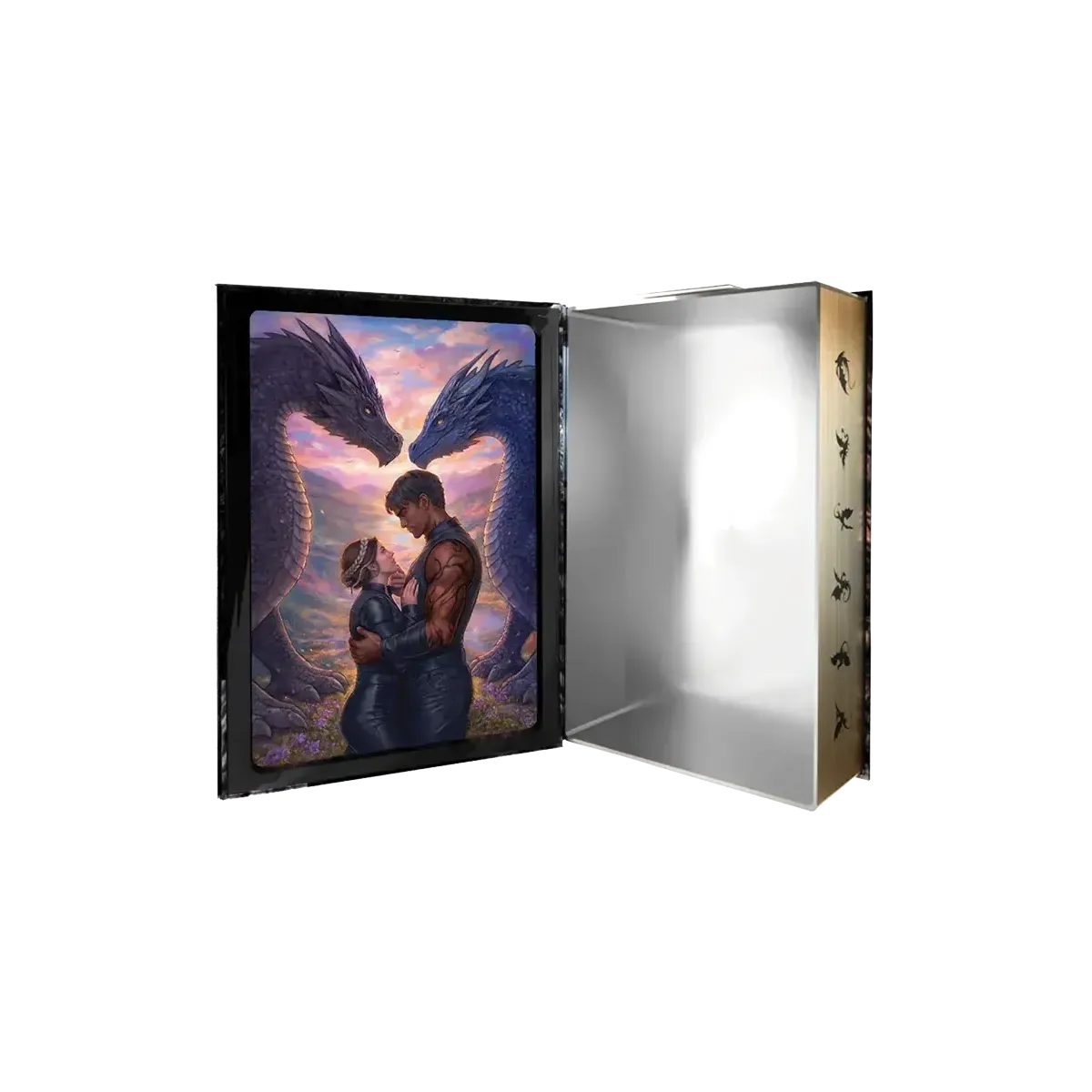 Fourth Wing 550 Piece Jigsaw Puzzle in Tin Eurographics