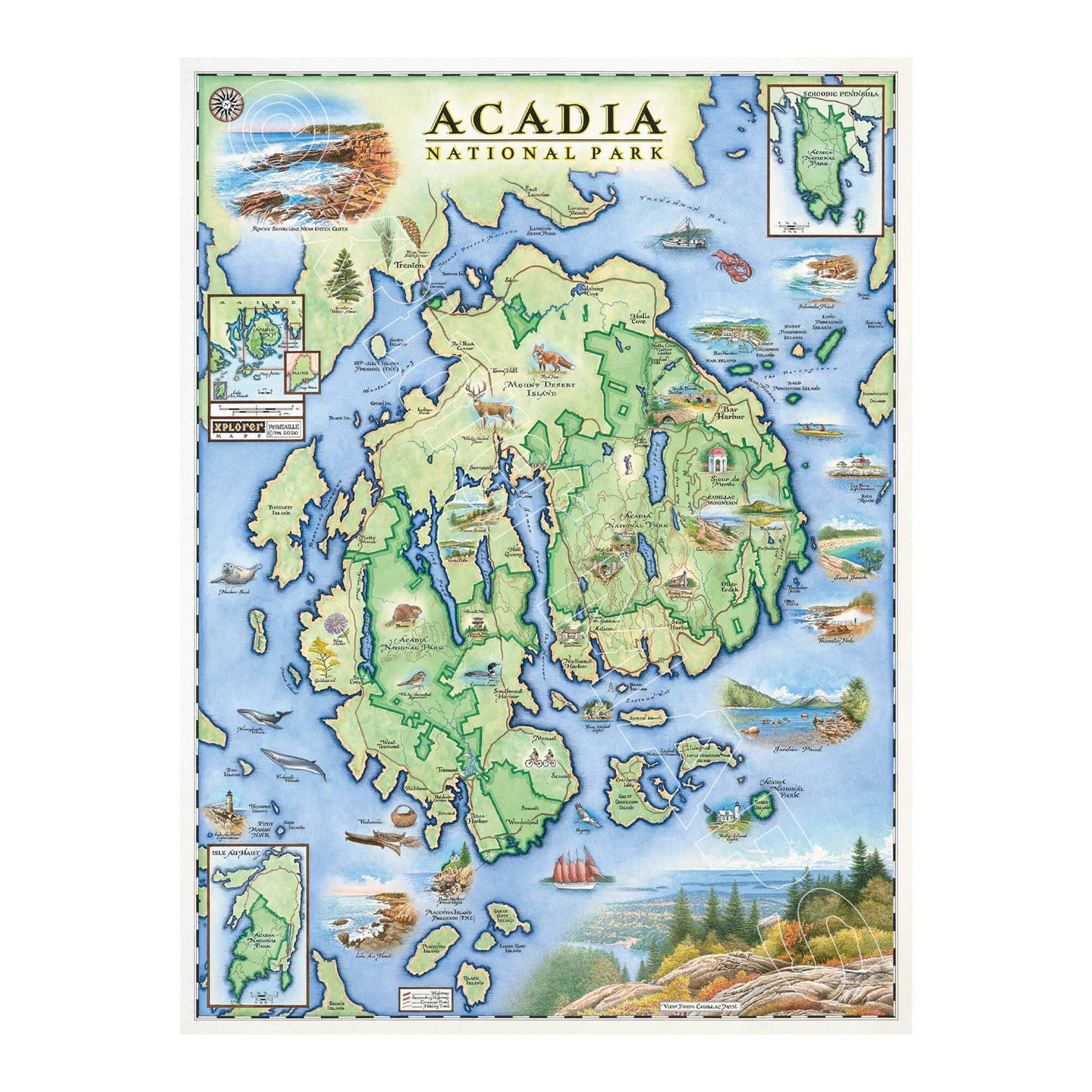 Acadia National Park 1000 Piece Jigsaw Puzzle Xplorer Maps