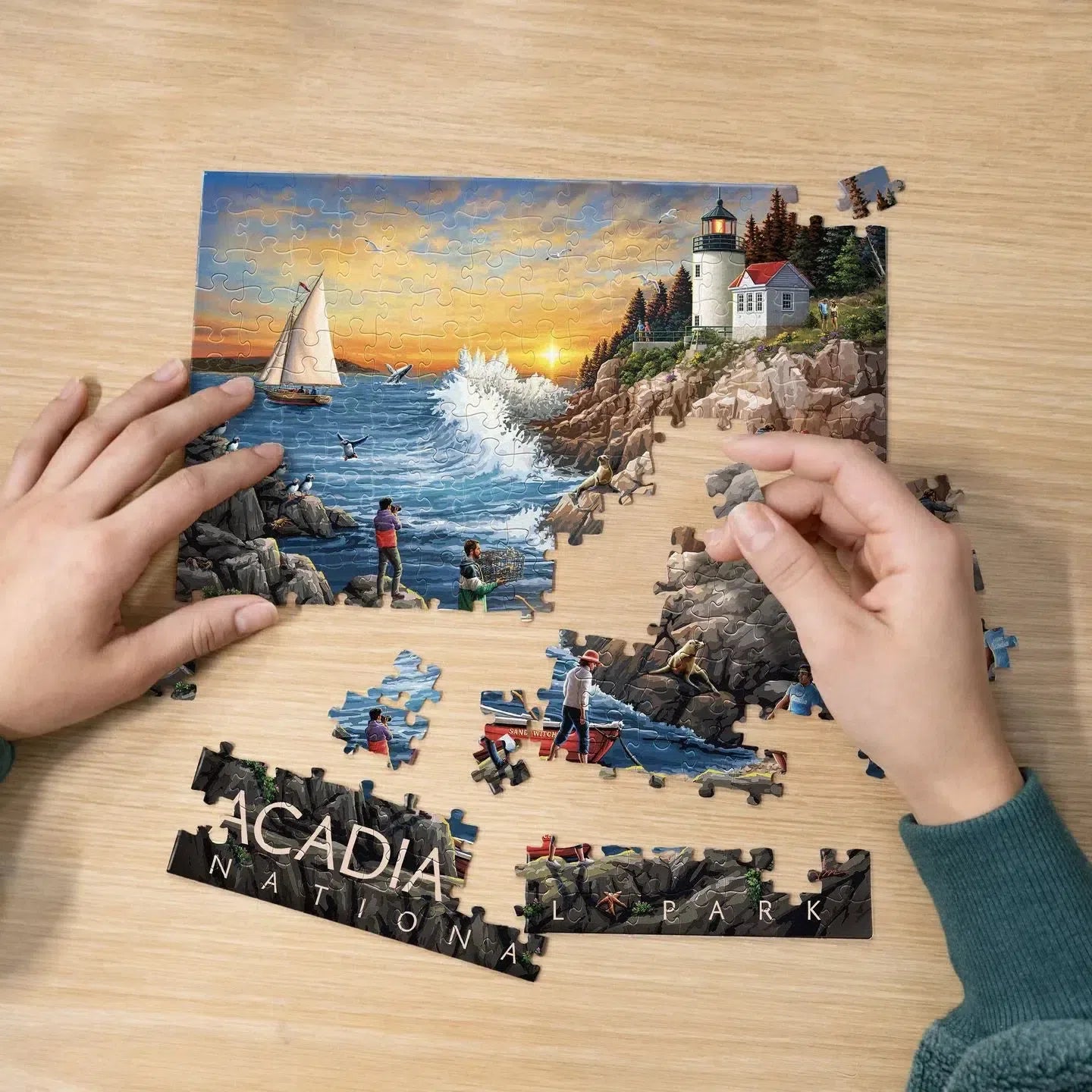 Acadia National Park 210 Piece Jigsaw Puzzle Boardwalk