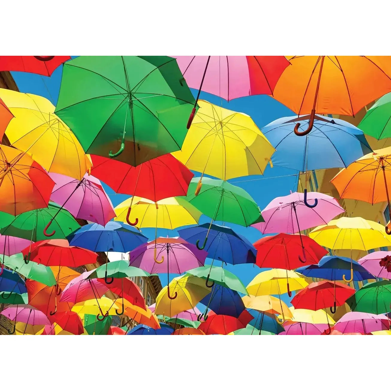 All the Umbrellas 1000 Piece Jigsaw Puzzle Peter Pauper
