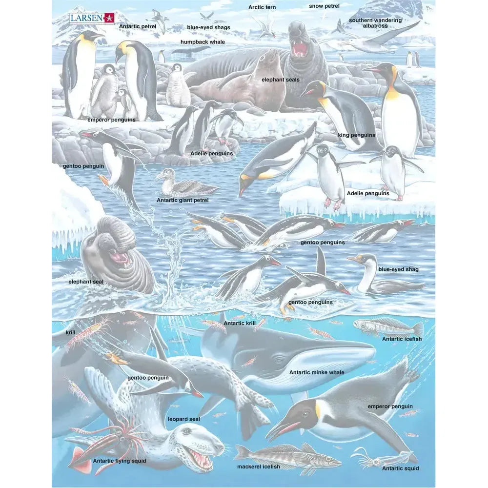 Antarctica Animals 66 Piece Tray Jigsaw Puzzle Larsen