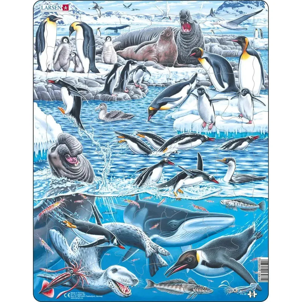 Antarctica Animals 66 Piece Tray Jigsaw Puzzle Larsen