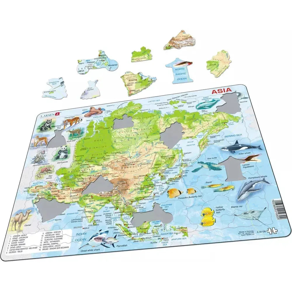 Asia Topographic Map 63 Piece Tray Jigsaw Puzzle Larsen