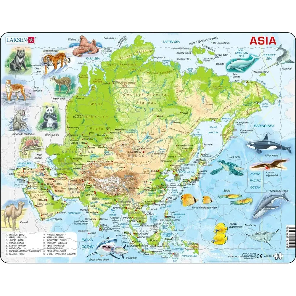 Asia Topographic Map 63 Piece Tray Jigsaw Puzzle Larsen