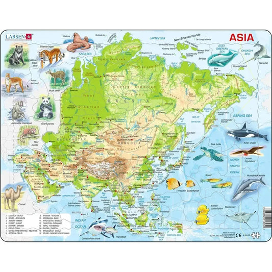 Asia Topographic Map 63 Piece Tray Jigsaw Puzzle Larsen